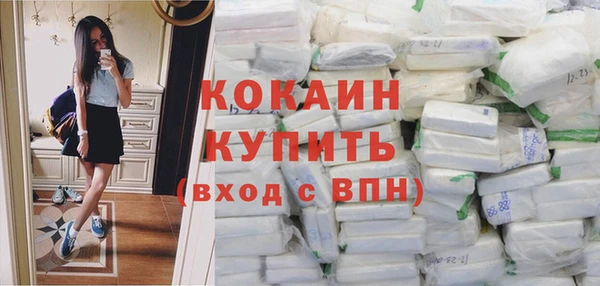 сатива Арсеньев