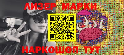 индика Дубна