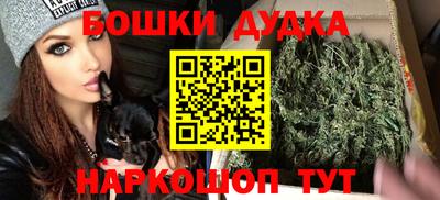 индика Дубна