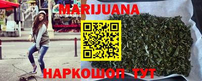 индика Дубна