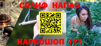 индика Дубна