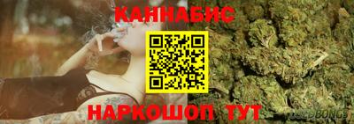индика Дубна