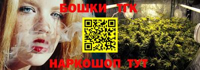 индика Дубна