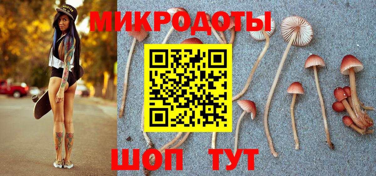 Галлюциногенные грибы Psilocybine cubensis Нововоронеж